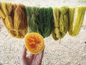 fruit and yarn hanging